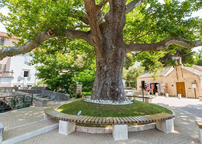 Villa Platanus With Private Pool Sea View *