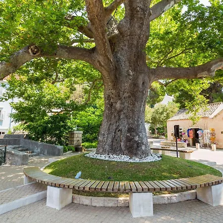 Villa Platanus With Private Pool Sea View *